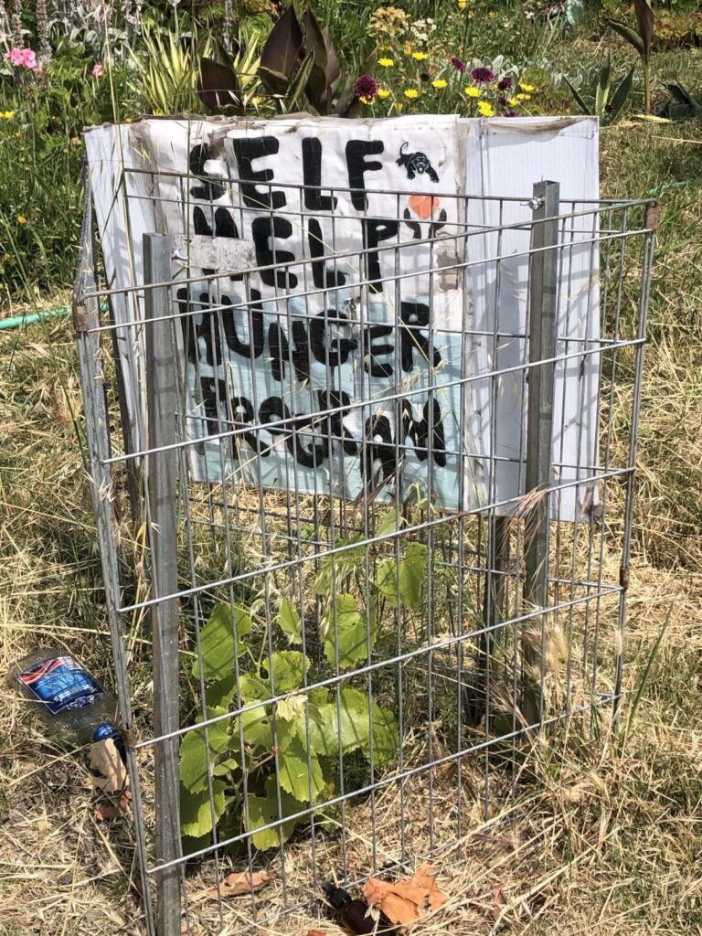 Self Help Hunger Program